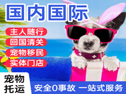 达州空运国际宠物托运 【国